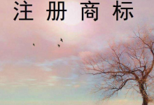 如何注册商标?商标注册成功如何使用?-虹桥商务区写字楼网